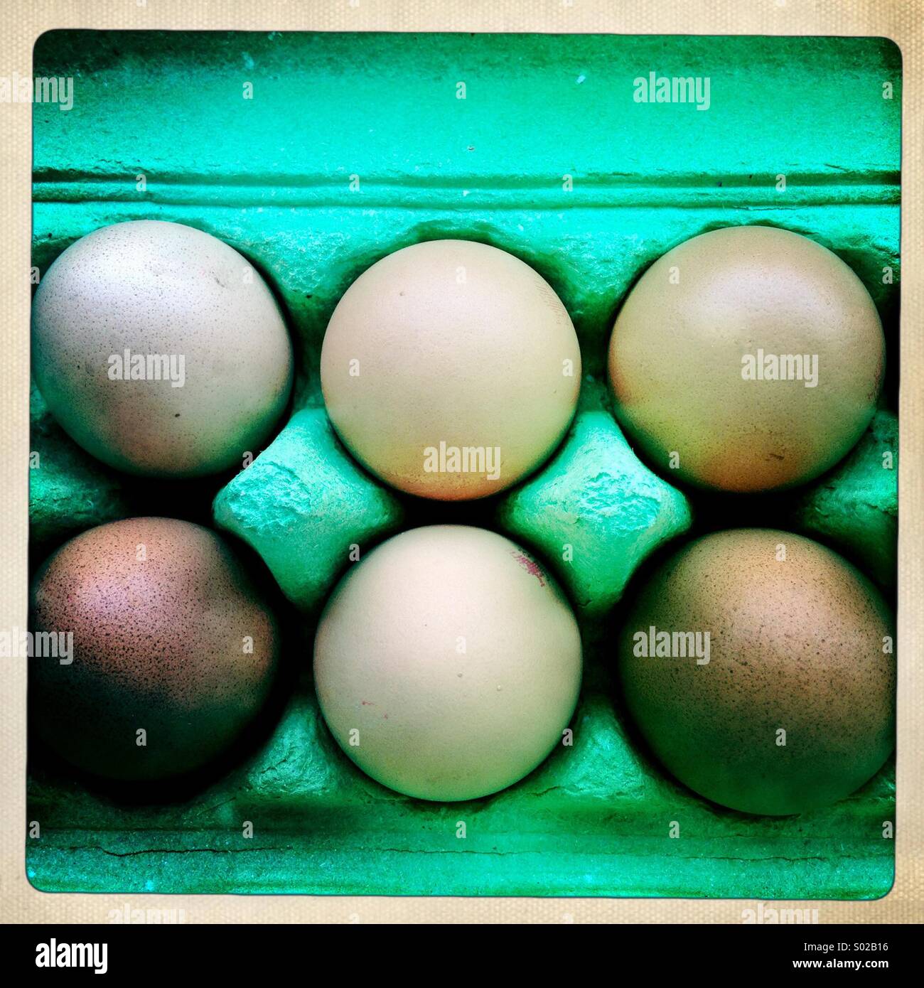 Aerial view of six brown eggs in a green box. Stock Photo