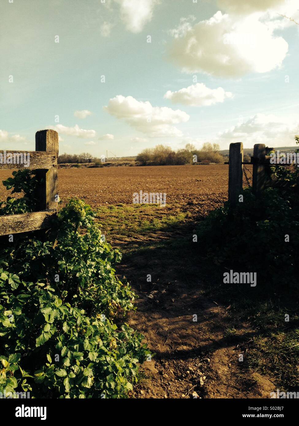 Gate into ploughed field - Smartphone Captured Stock Image