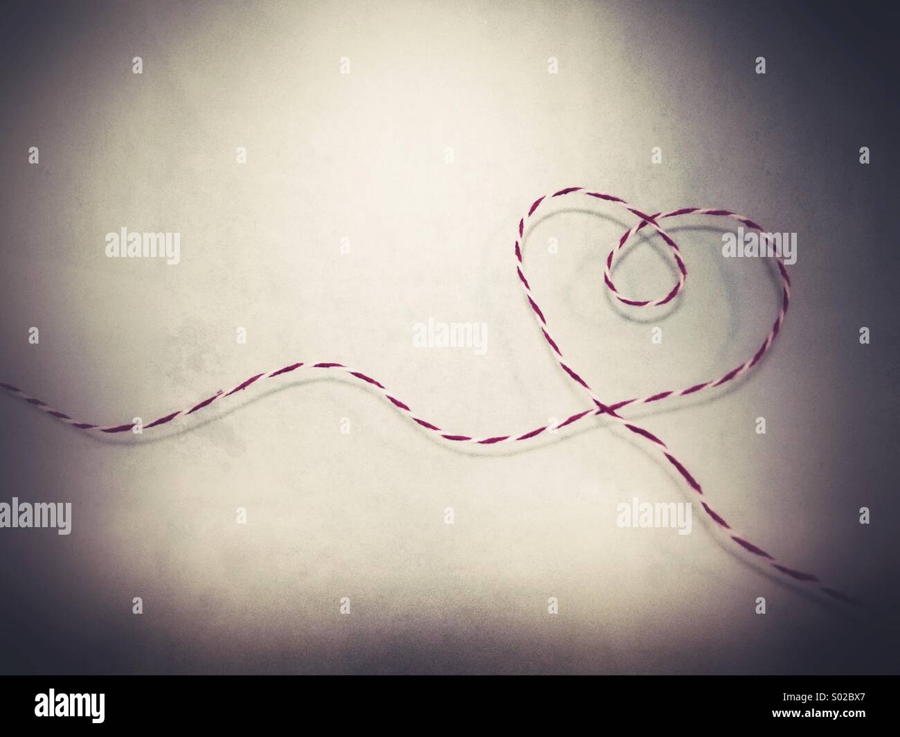 Entangled heart - Smartphone Captured Stock Image