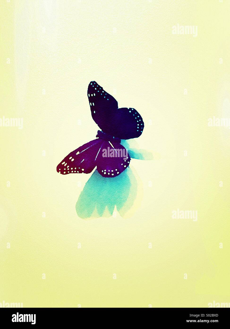 Purple Butterfly (filtered and textured) Stock Photo