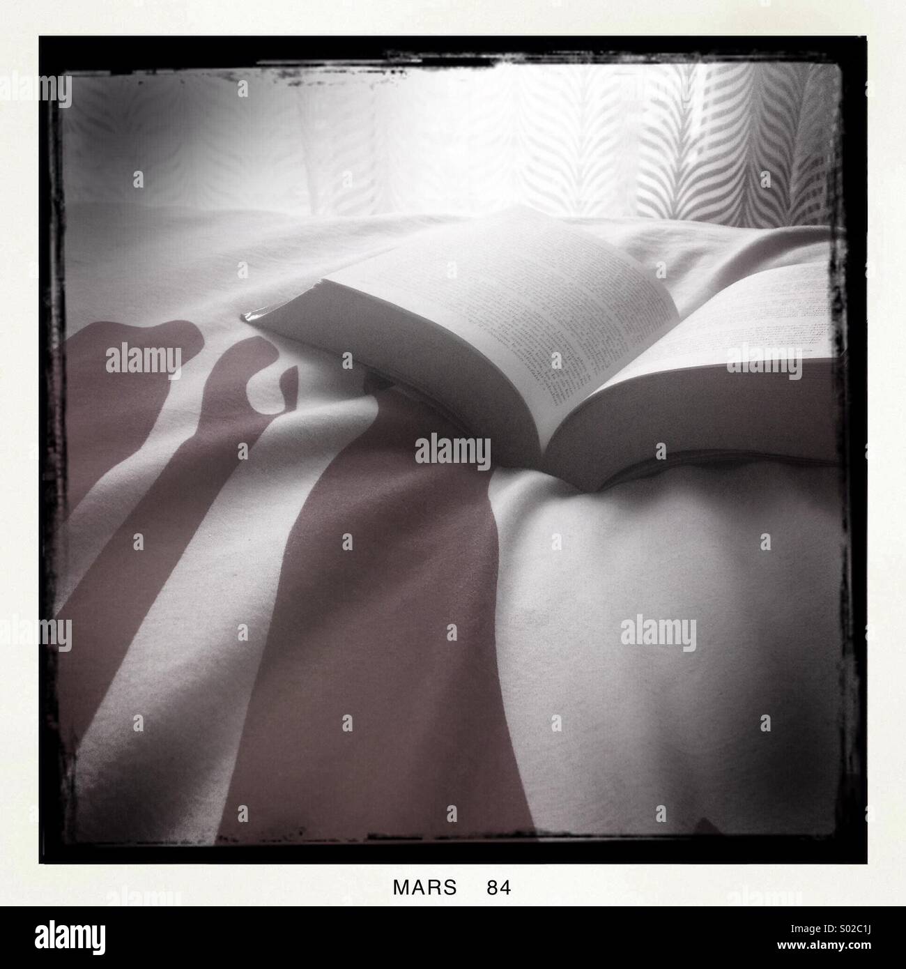 Reading a book on my bed Stock Photo Alamy