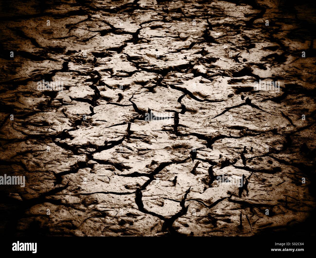 Cracked, parched ground - Smartphone Captured Stock Image