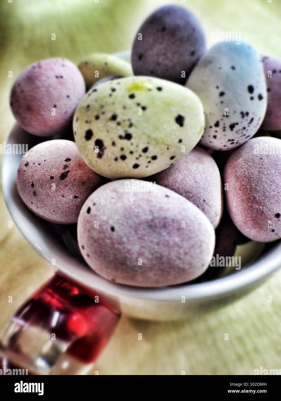 Chocolate Eggs Stock Photo