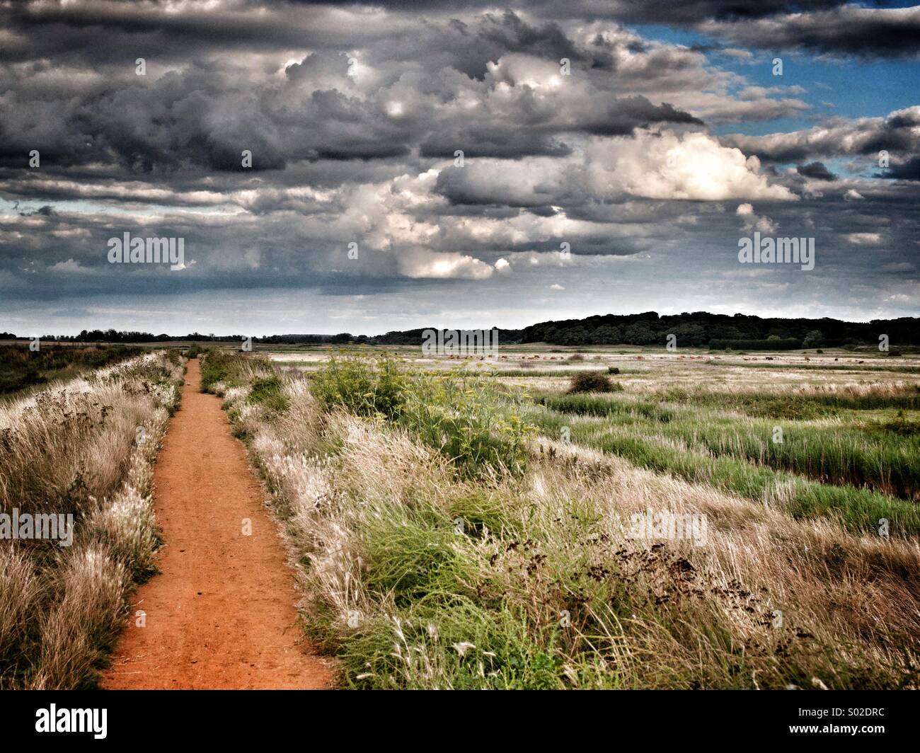 The straight and narrow path. - Smartphone Captured Stock Image