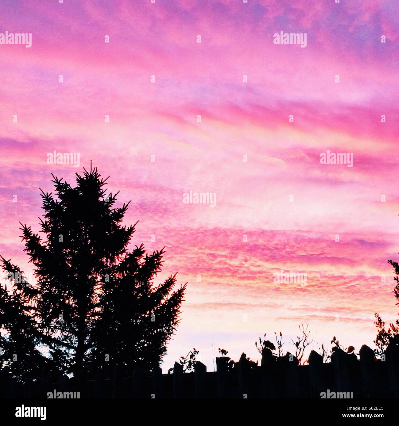 Beautiful morning sunrise Stock Photo - Alamy