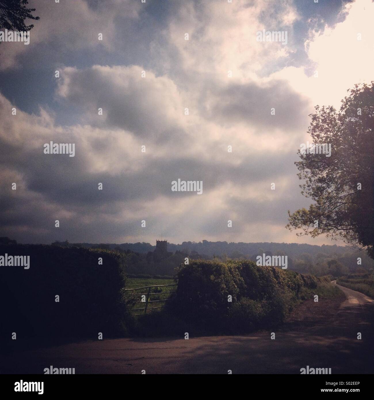 Atmospheric British countryside, Milborne Port, Somerset, England,UK