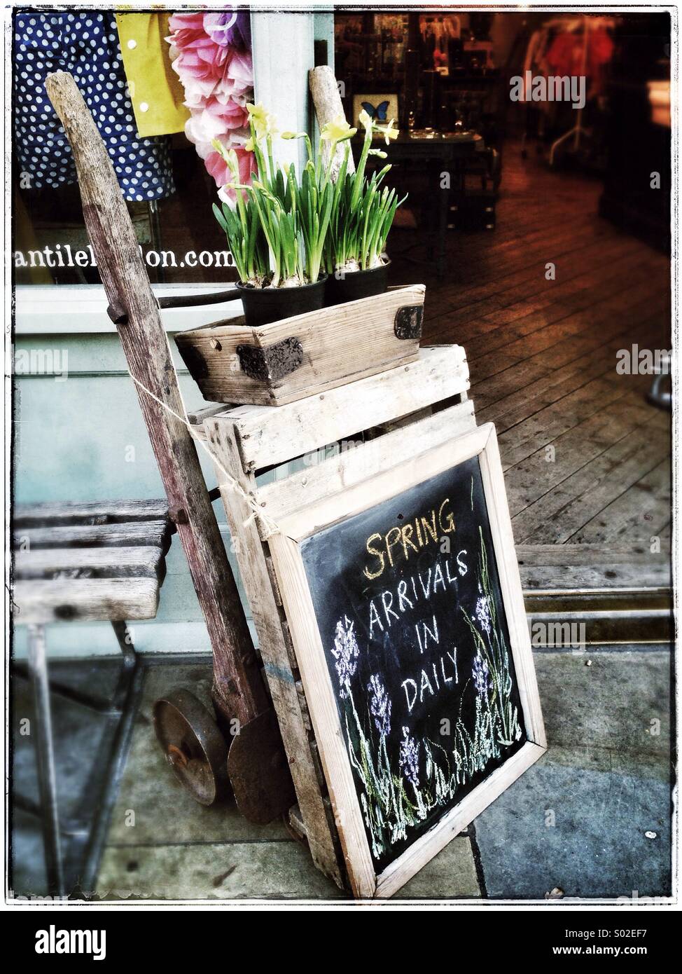 Spring flowers on display board,Whitechapel,London - Smartphone Captured Stock Image