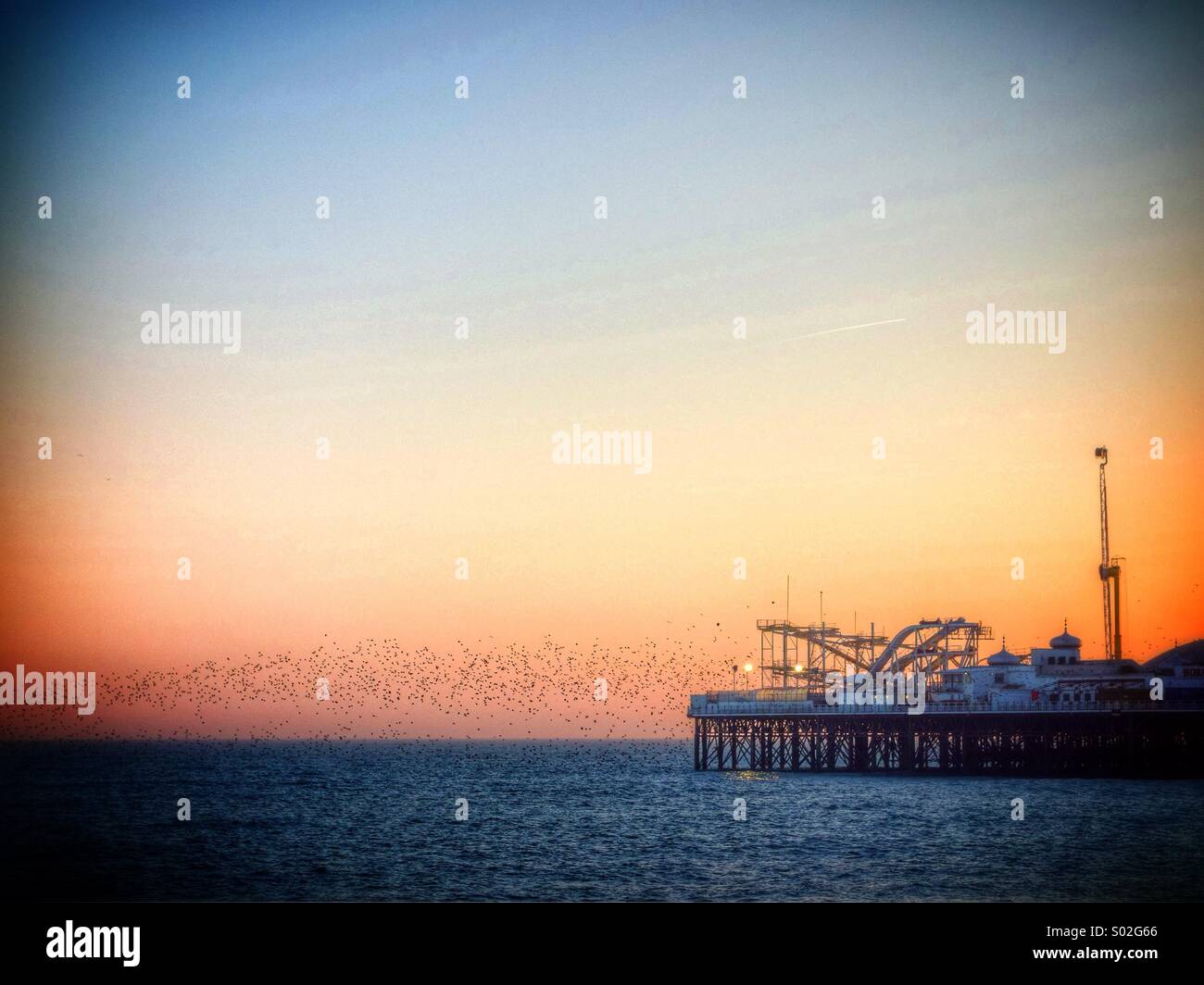 Brighton Palace Pier at sunset with flock of starlings. Stock Photo