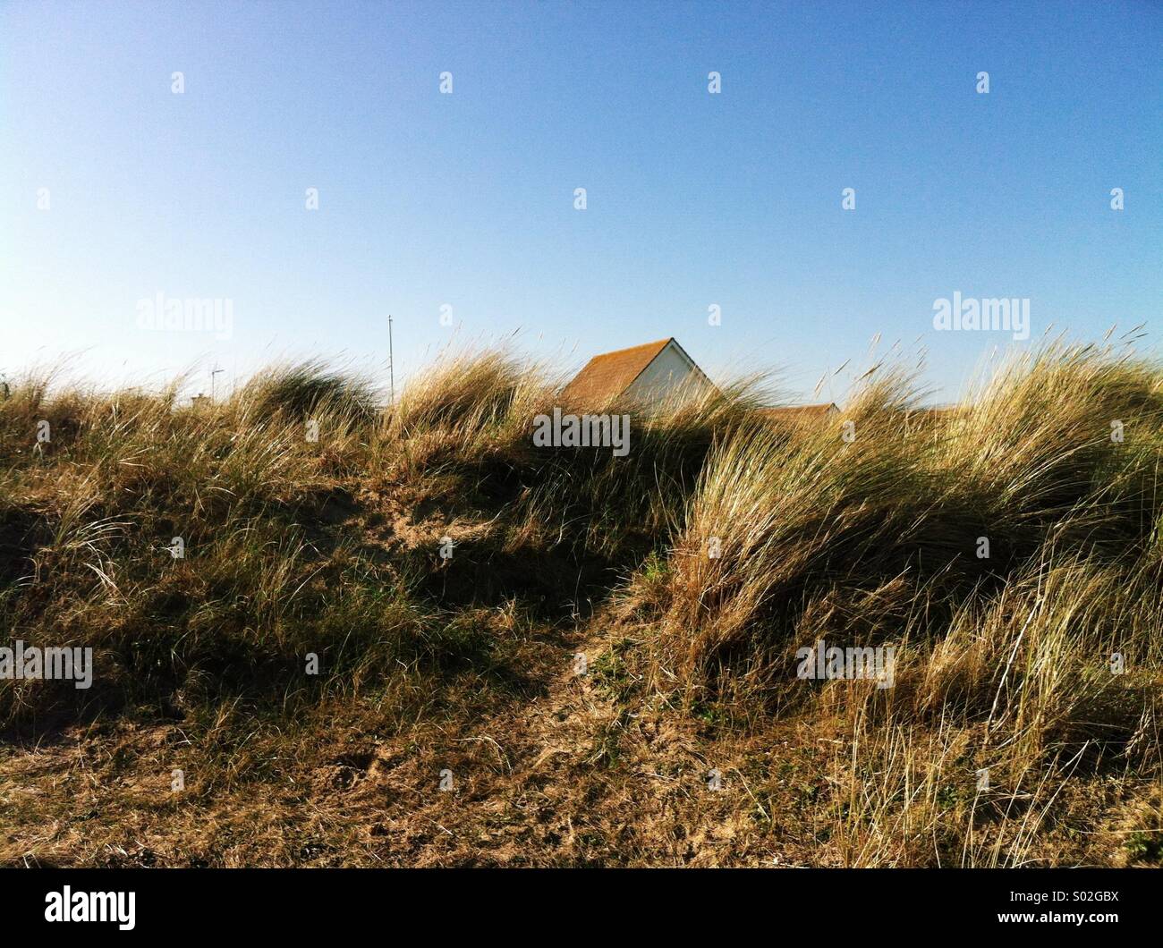 LyddonSea, the English coast Stock Photo Alamy