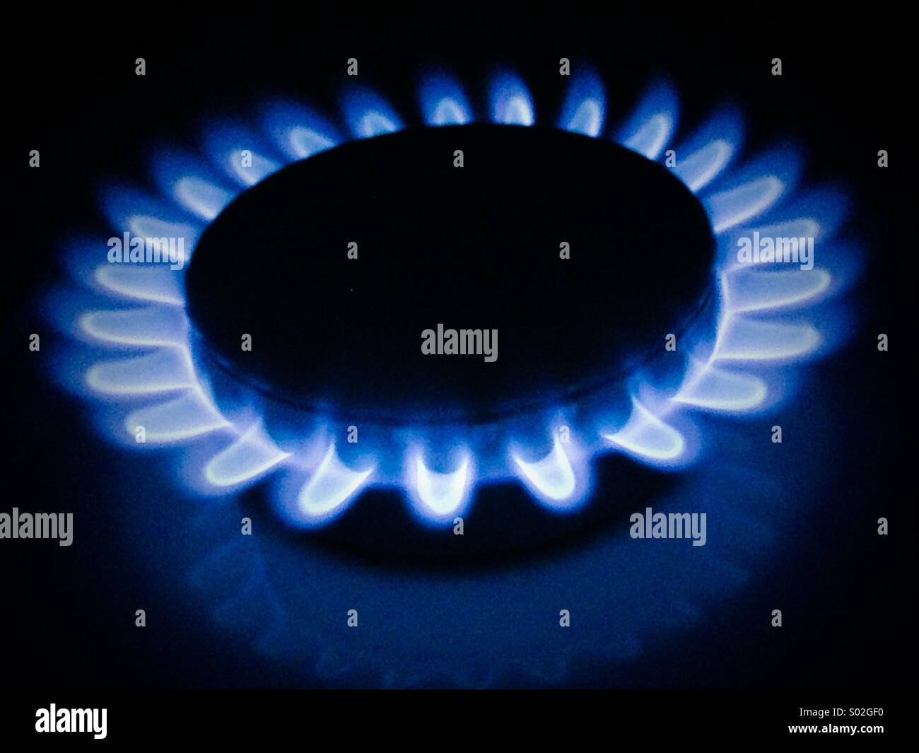 Closeup of gas hob and flames Stock Photo Alamy