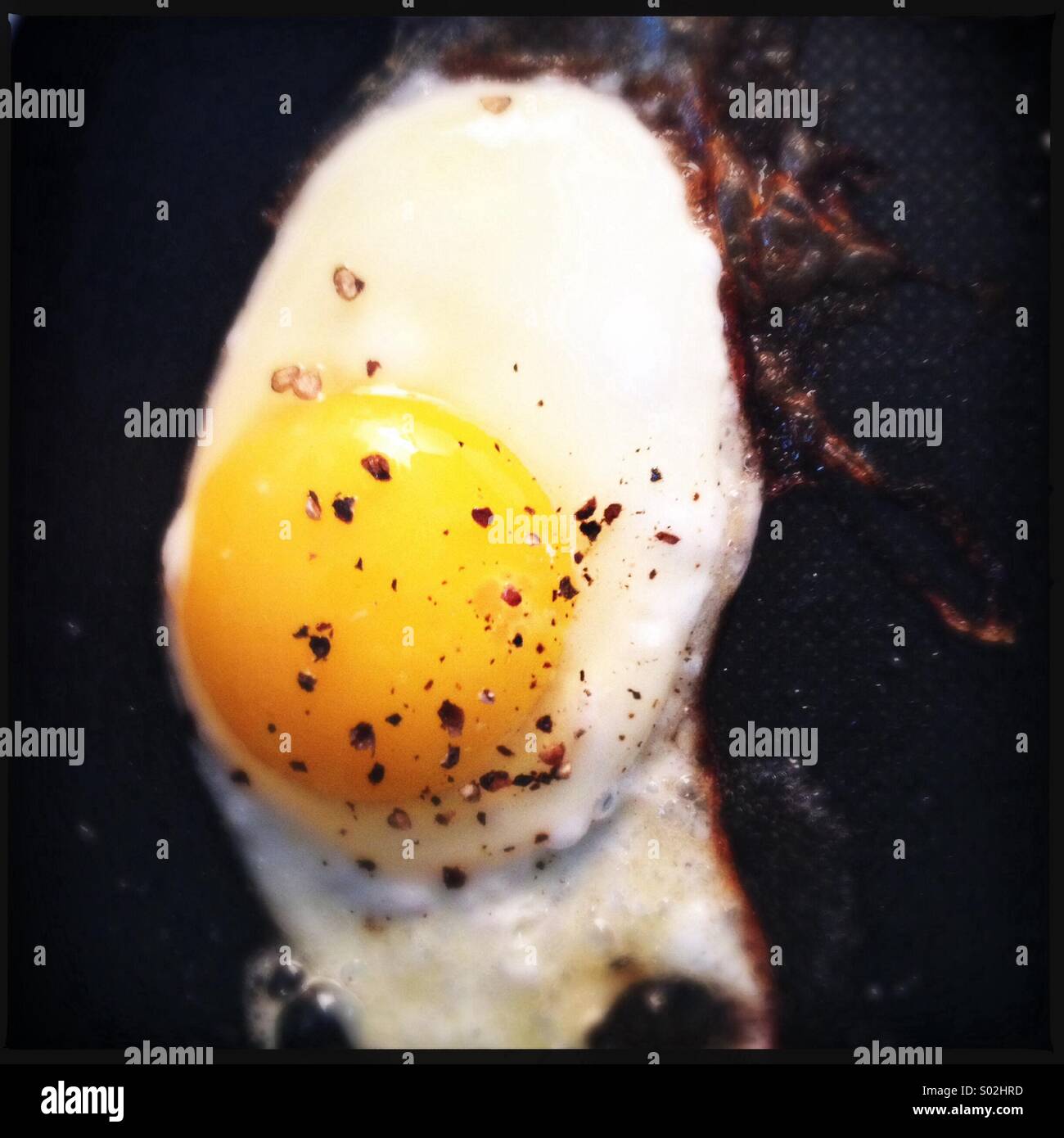 Frying an Egg Stock Photo