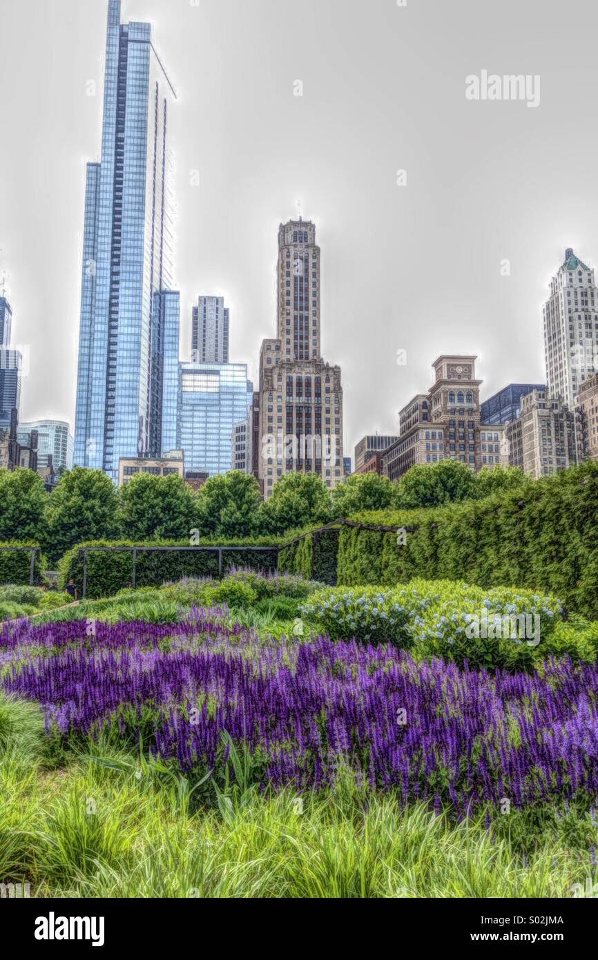 Chicago Skyline and Lurie Garden Park Stock Photo