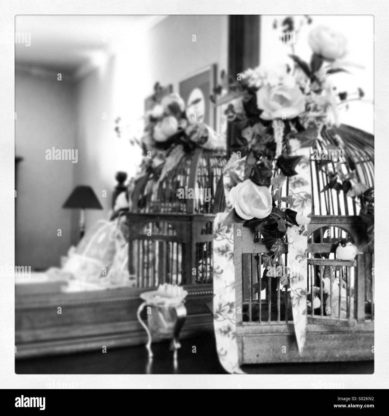 Outside the Cage Stock Photo Alamy