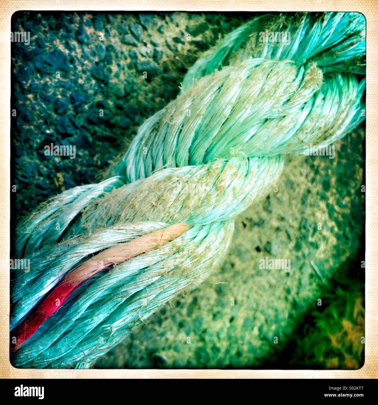 Old fishing rope Stock Photo