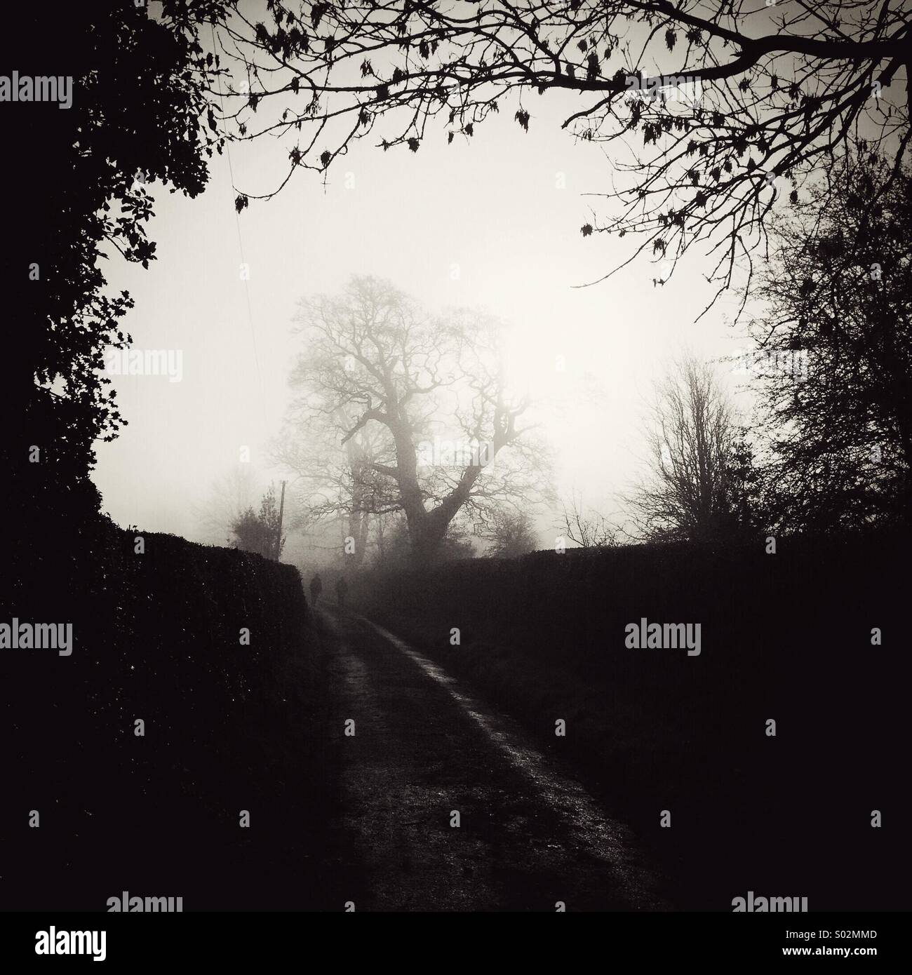 Walkers in mist (black & white) Stock Photo
