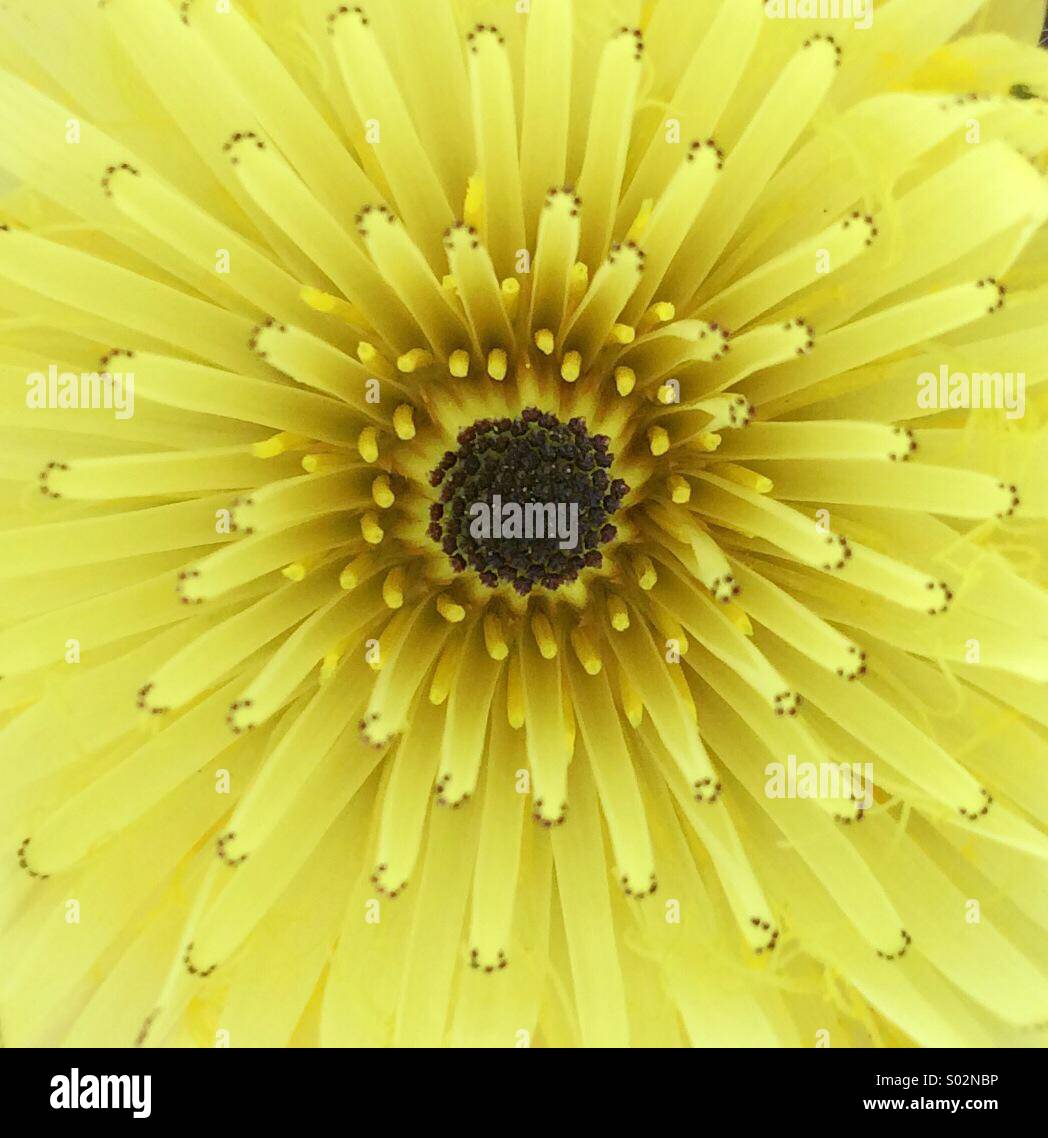 My Image 27