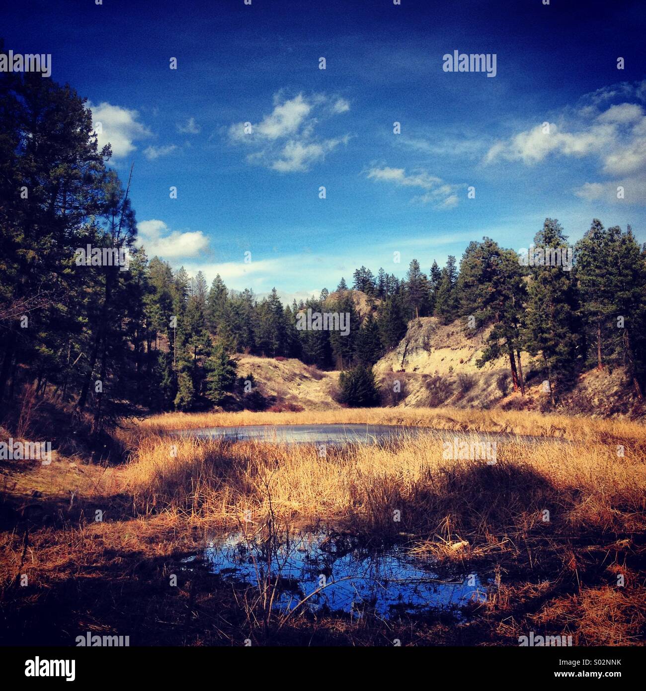 Small mountain pond thawing out from the long winter ice. - Smartphone Captured Stock Image
