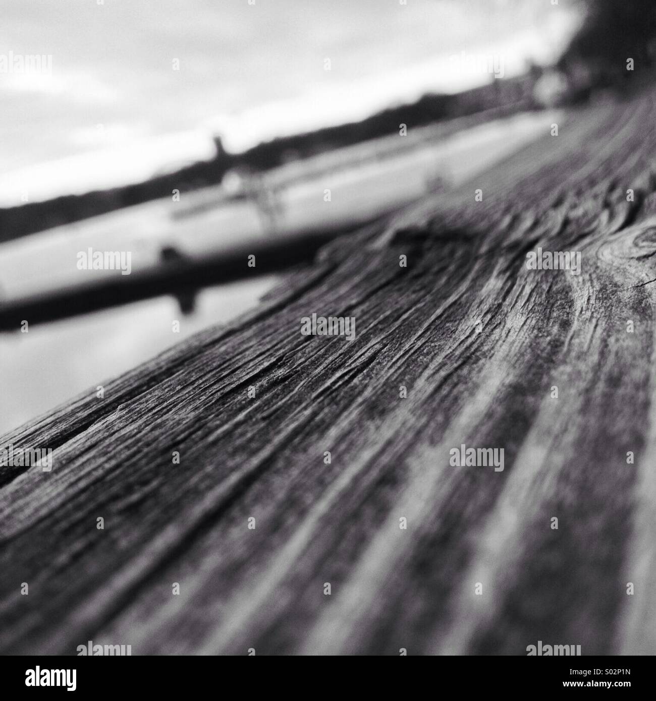 Grain on a plank of wood Stock Photo
