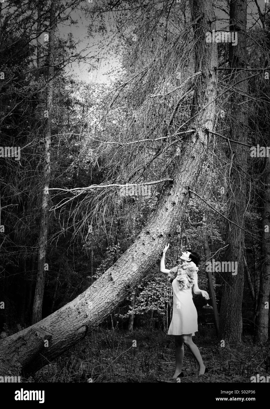 Woman forest walk Black and White Stock Photos & Images - Alamy