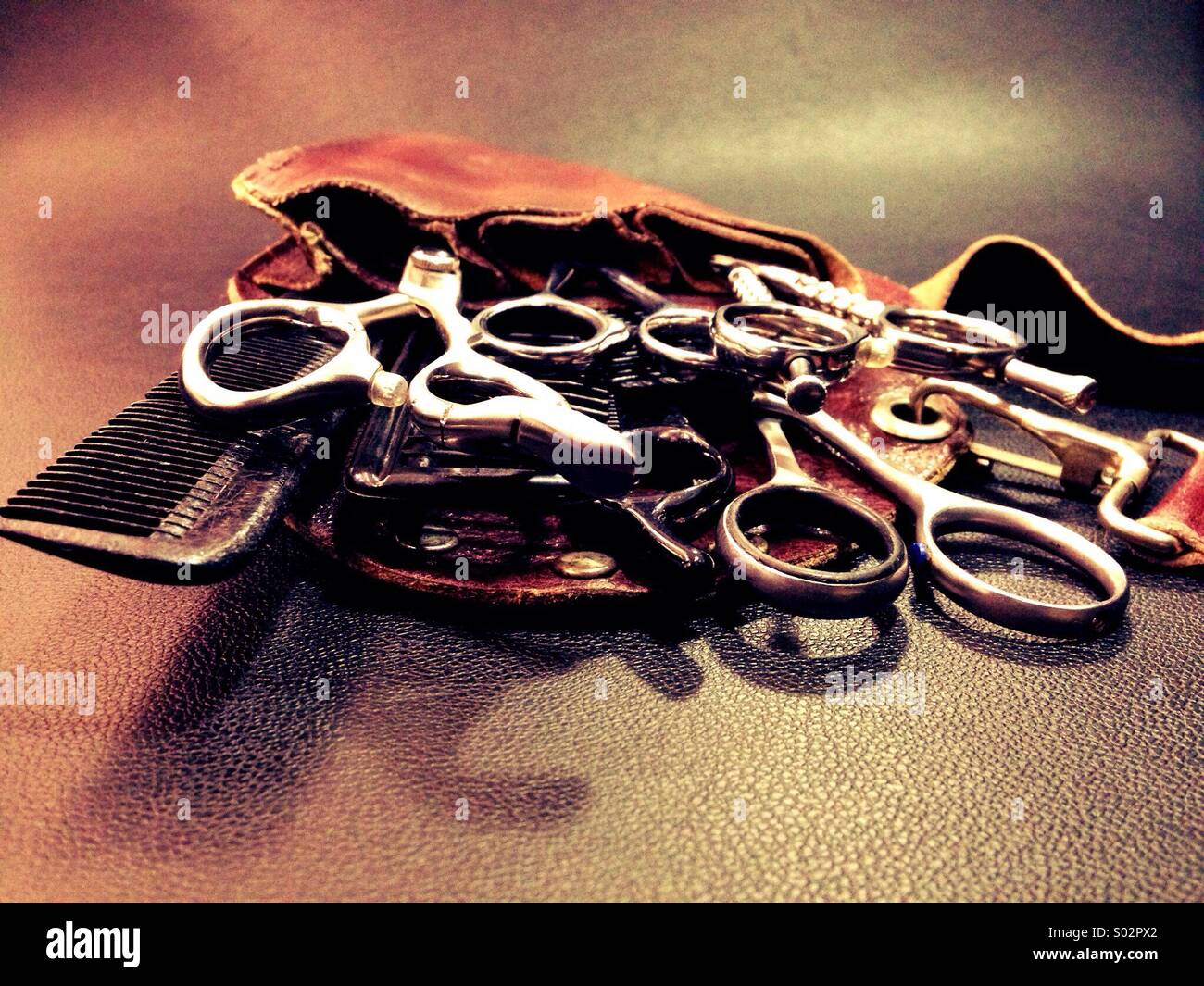 Old scissors and combs in leather case Stock Photo Alamy