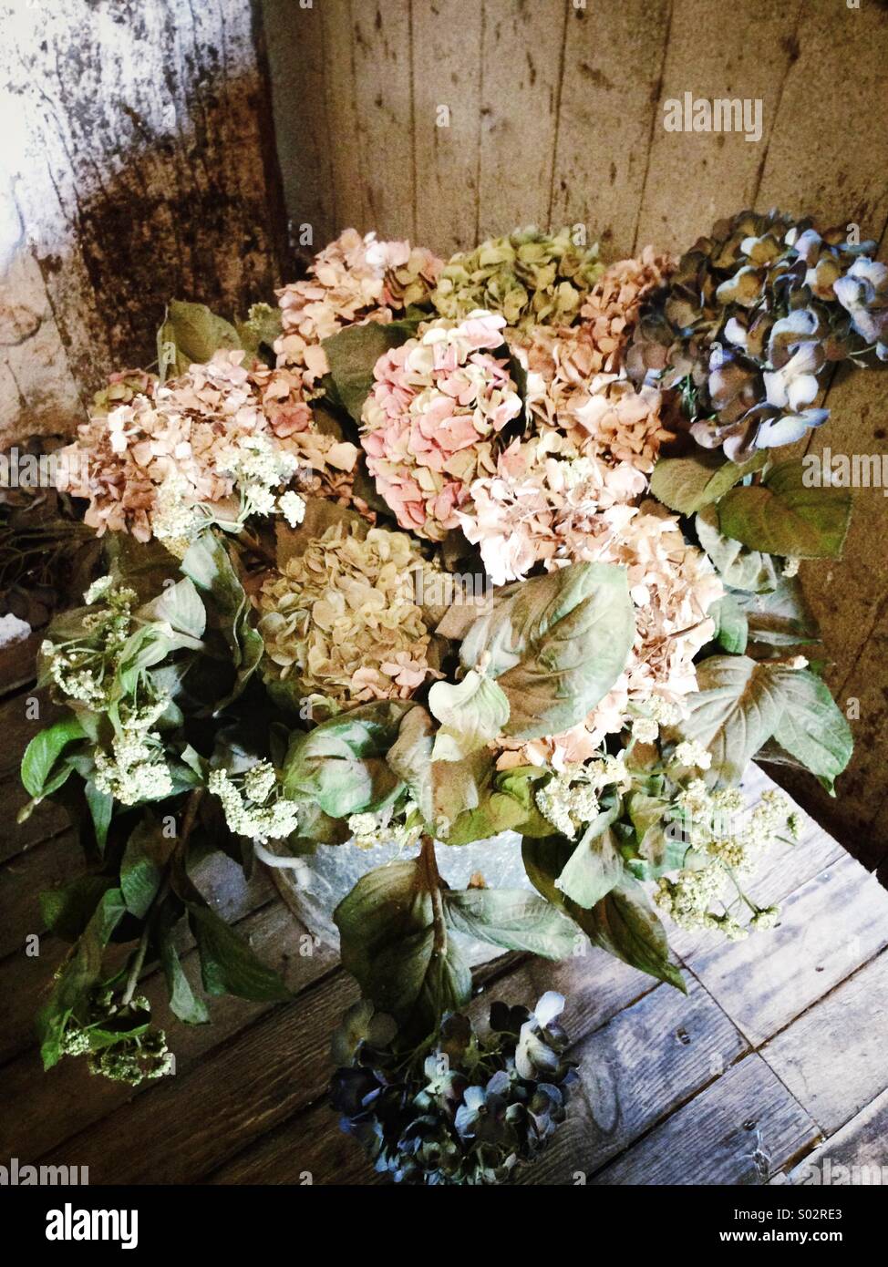 Bouquet of dried wildflowers with filter effect retro vintage style Stock  Photo - Alamy