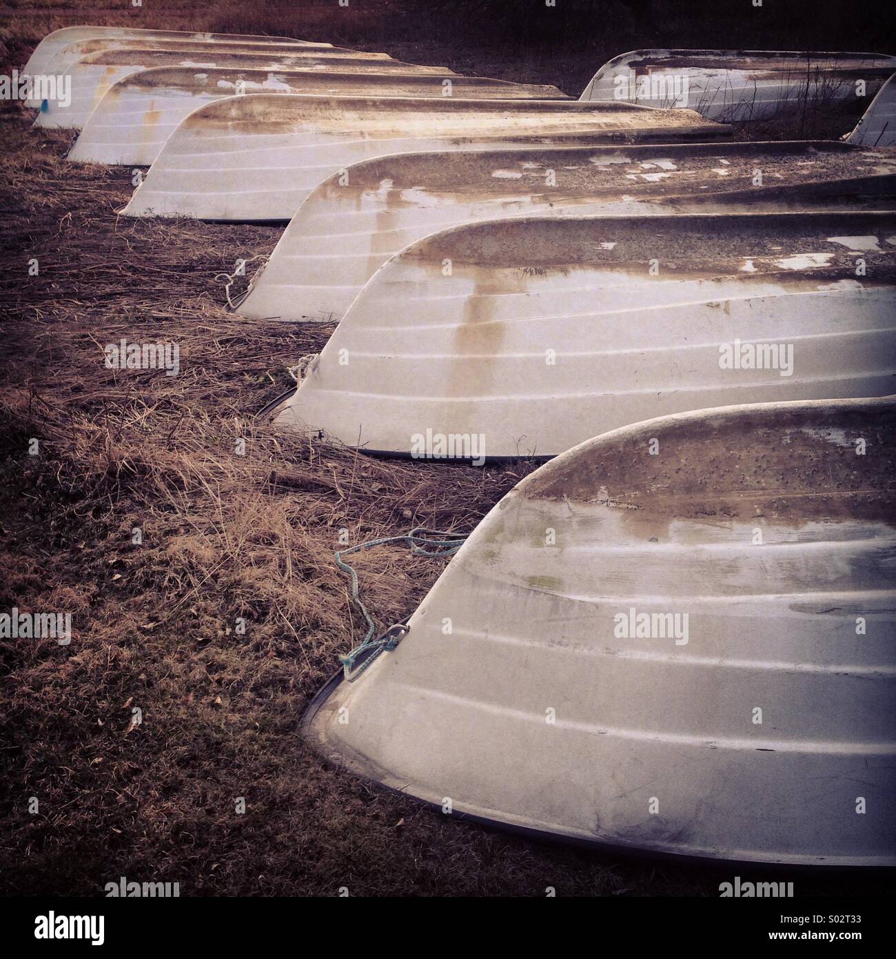 Identical boats drawn up onto shore for winter - Smartphone Captured Stock Image