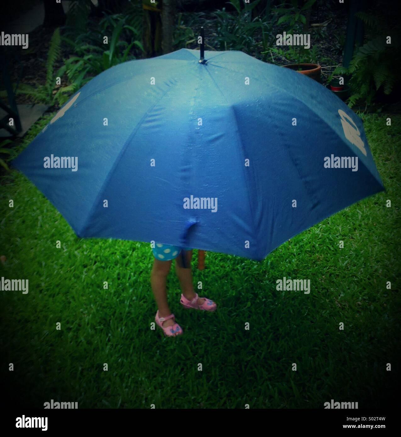 Young child under an umbrella Stock Photo Alamy