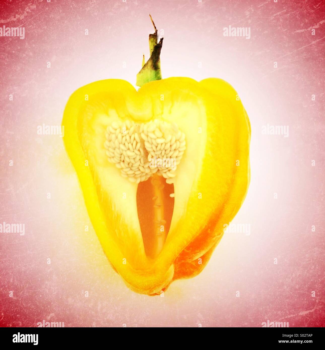 Yellow pepper with slice taken out of it - Smartphone Captured Stock Image