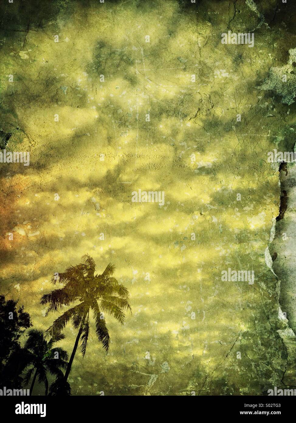 Palm Tree & clouds. Hawaii Stock Photo