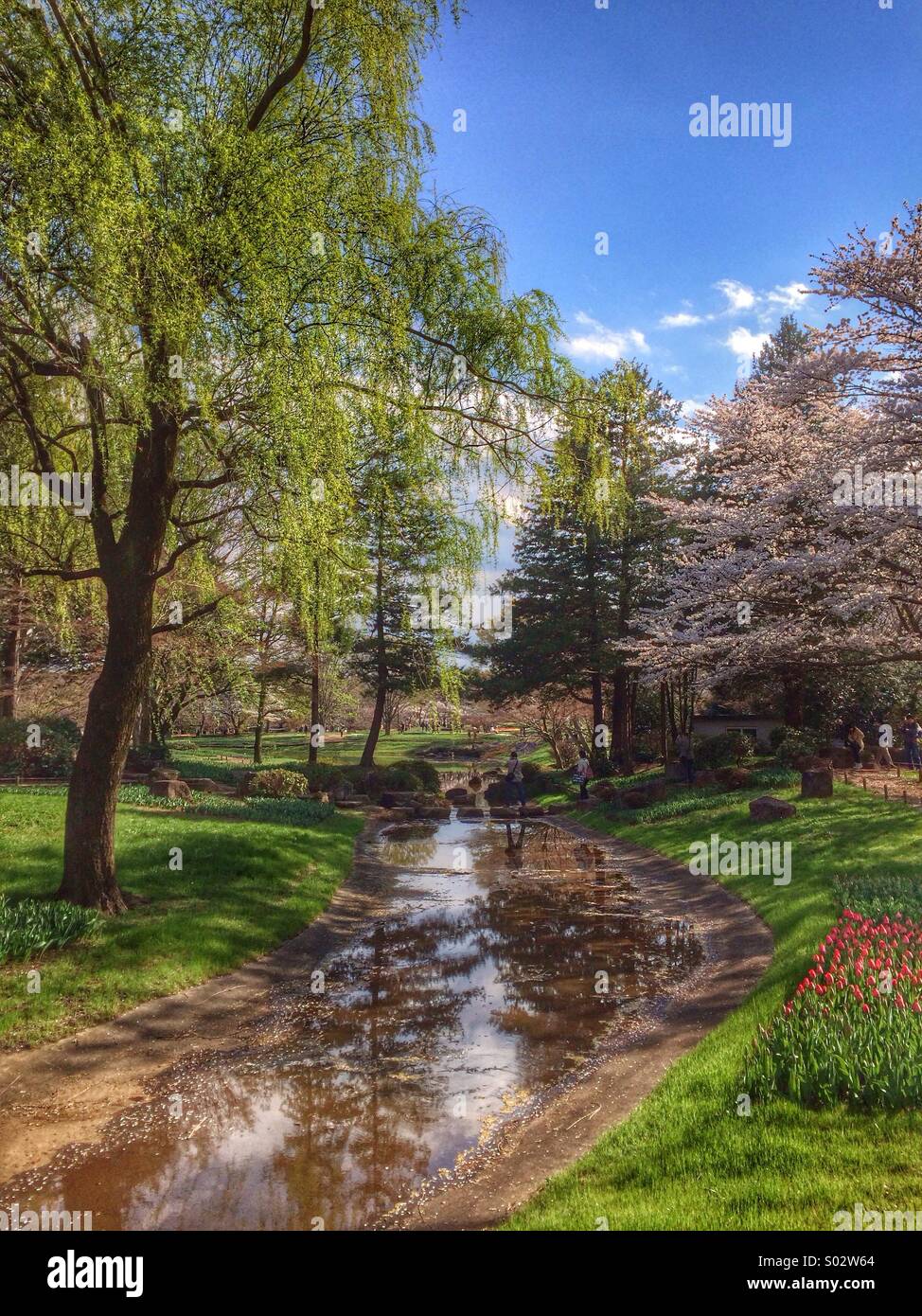 Japanese Rivers Small A small river in Showa Kinen Park, Tachikawa, Japan Stock Photo - Alamy