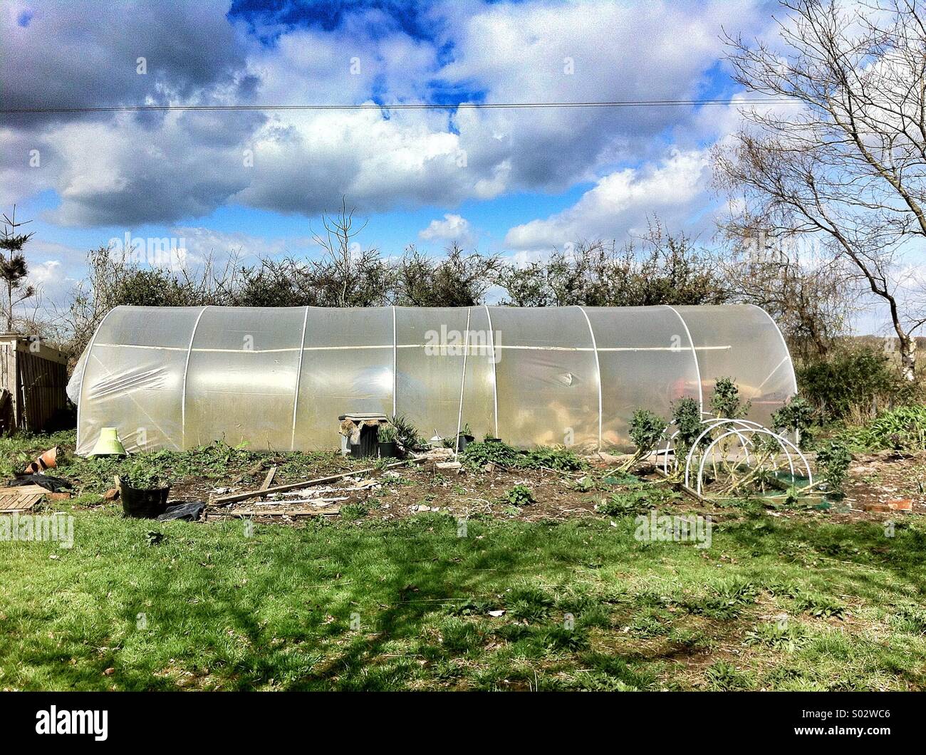 Poly tunnel style greenhouse Stock Photo