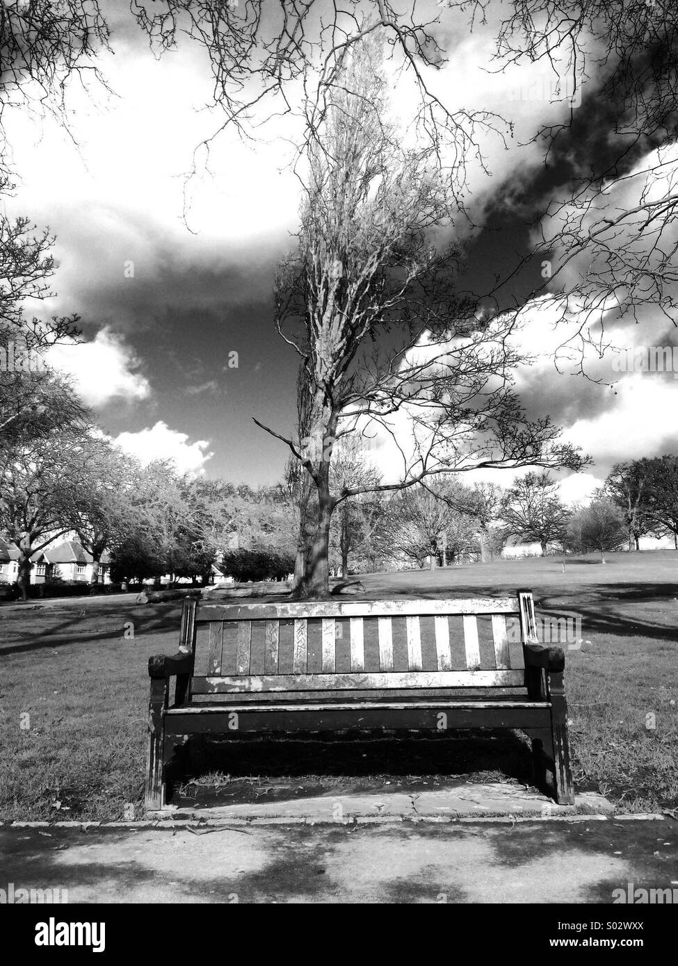 Bench in a park in black and white Stock Photo