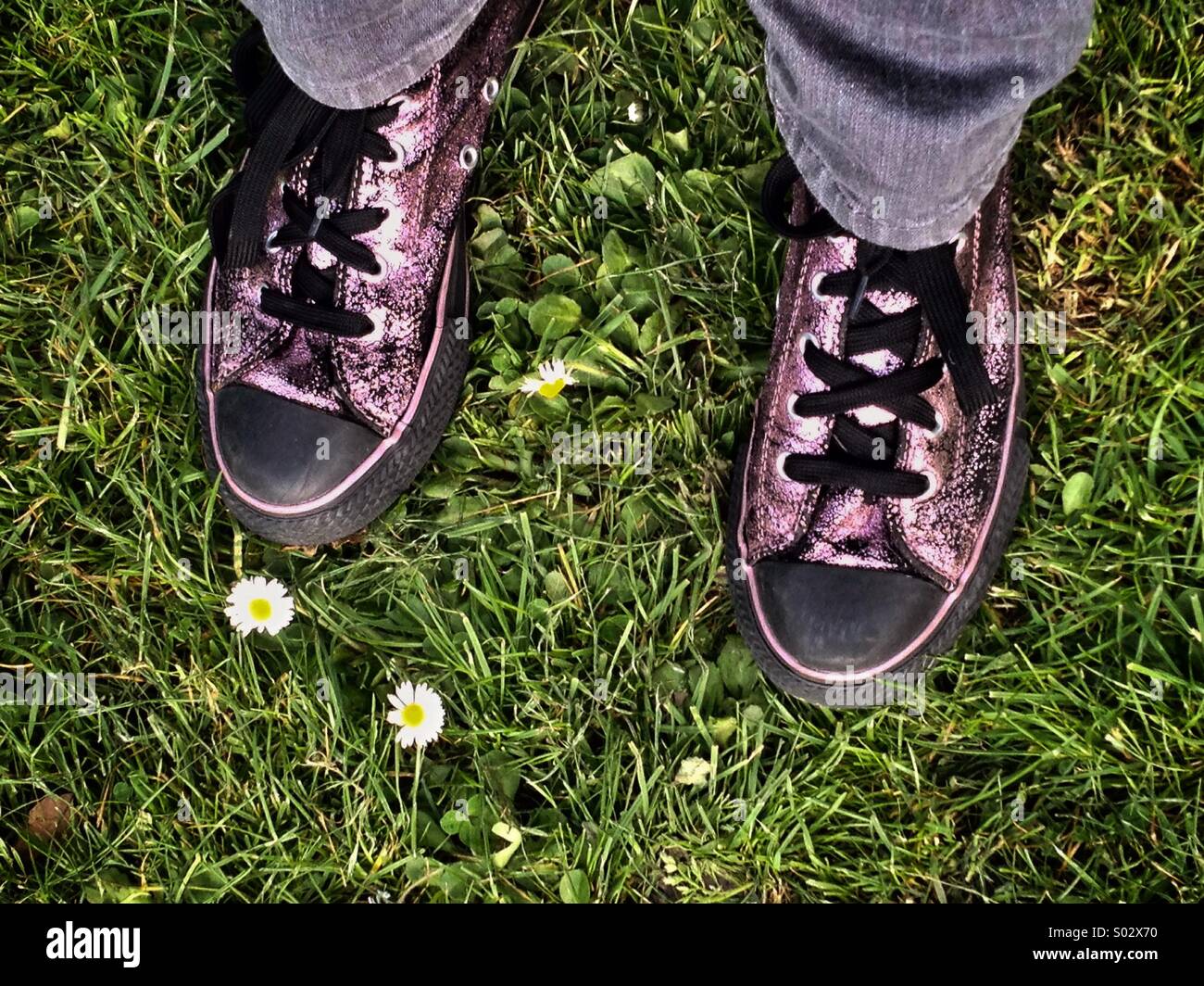 Purple glittery sneakers among the daisies - Smartphone Captured Stock Image
