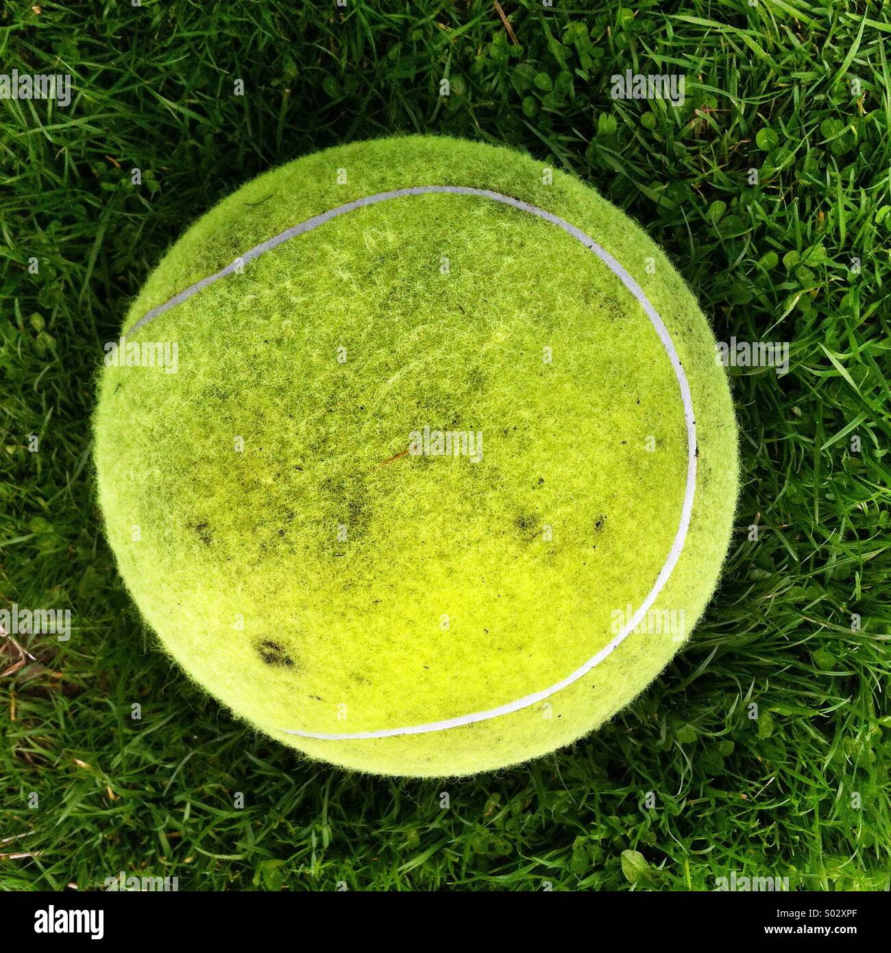 Large tennis ball - Smartphone Captured Stock Image