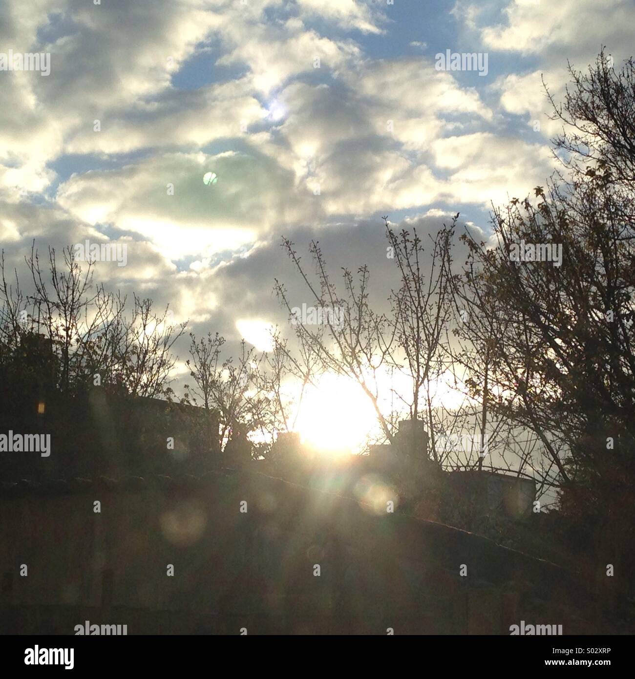 Sunrise over the silhouette of trees Stock Photo - Alamy