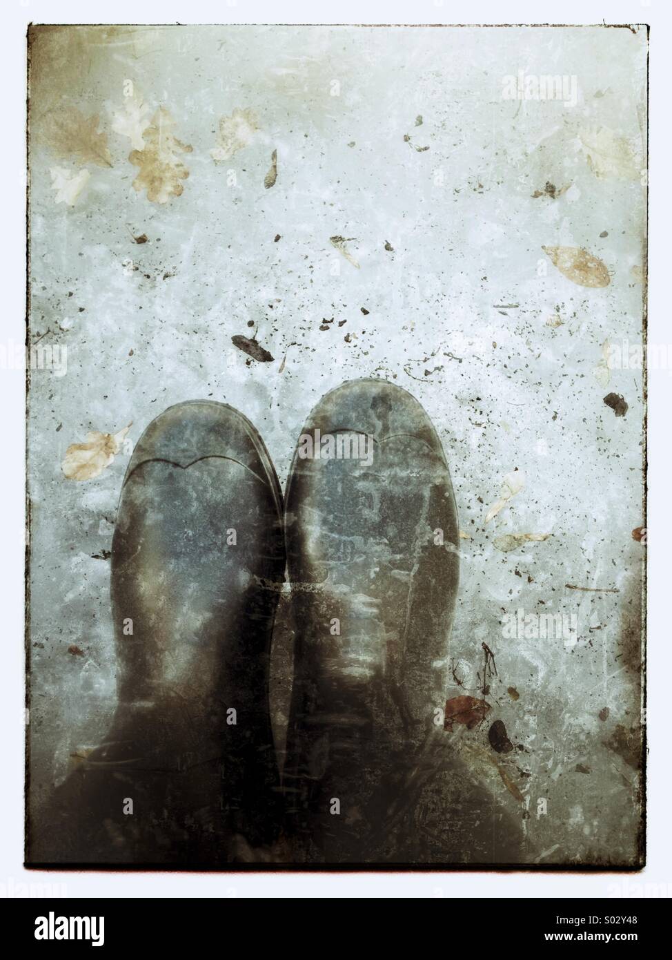 Cold winter - Smartphone Captured Stock Image