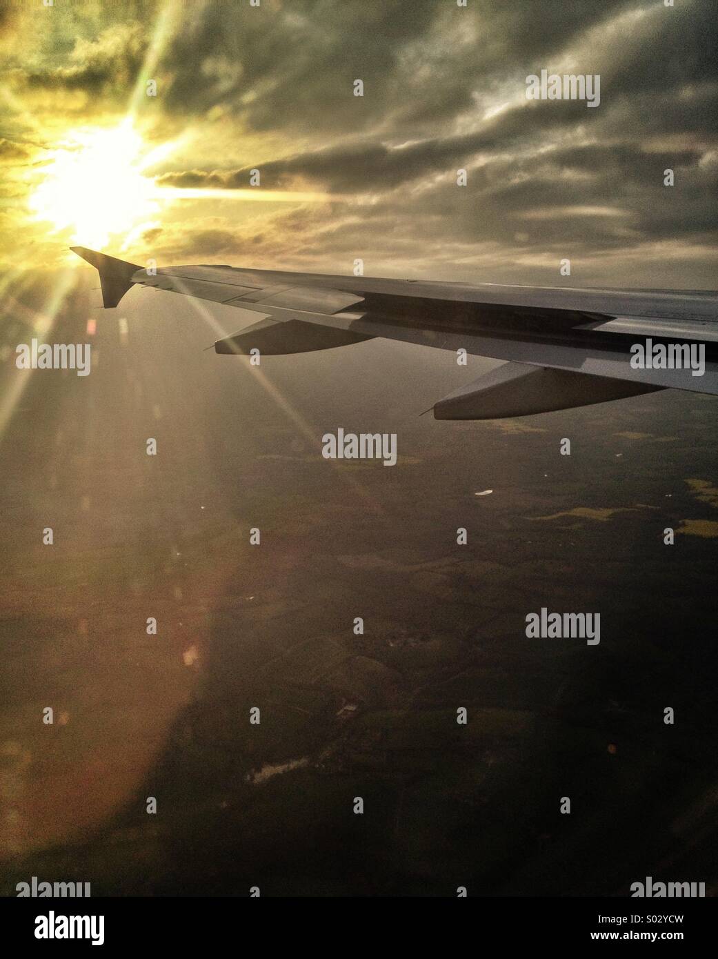 Flight at sunset Stock Photo