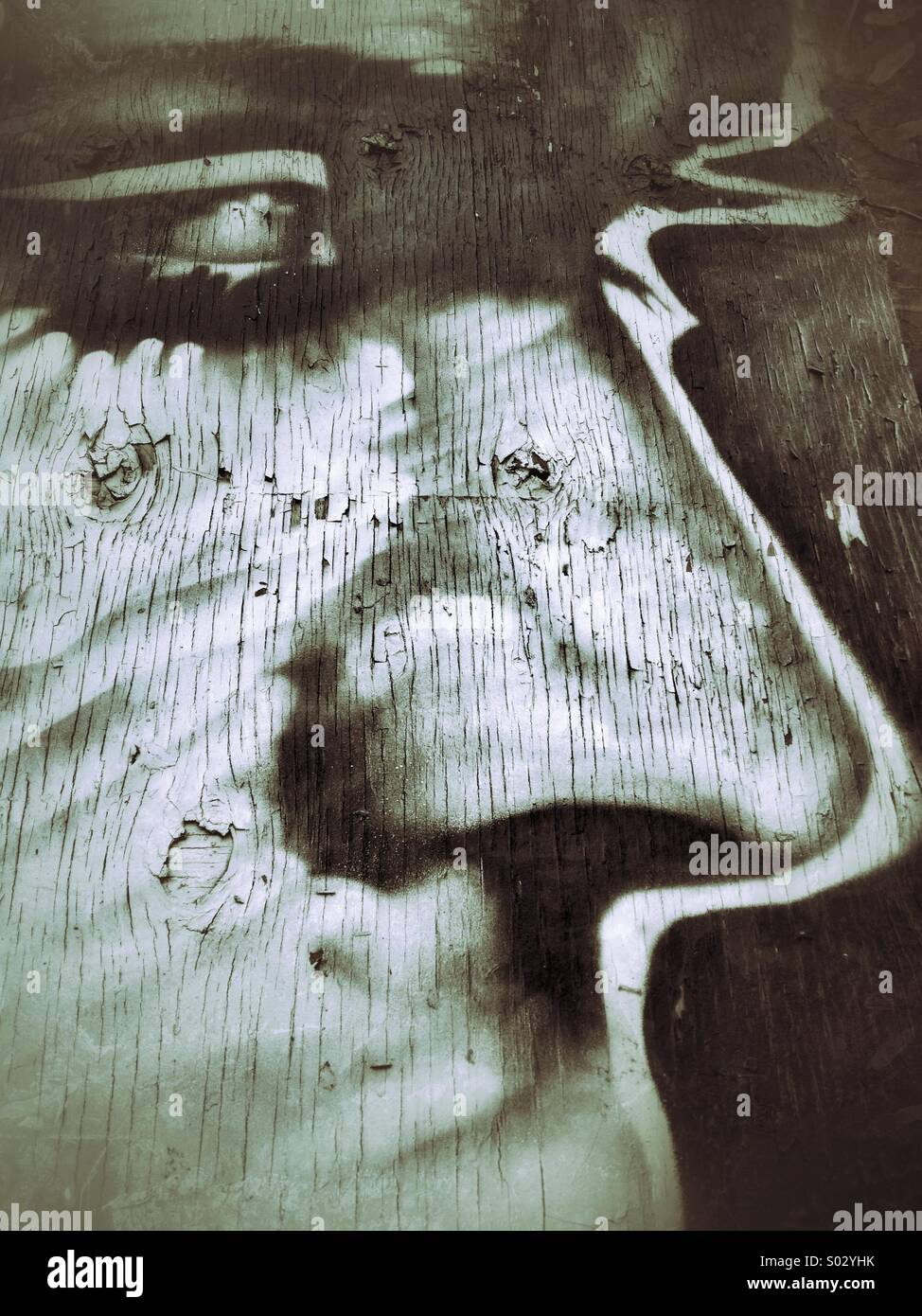 Mural - Smartphone Captured Stock Image