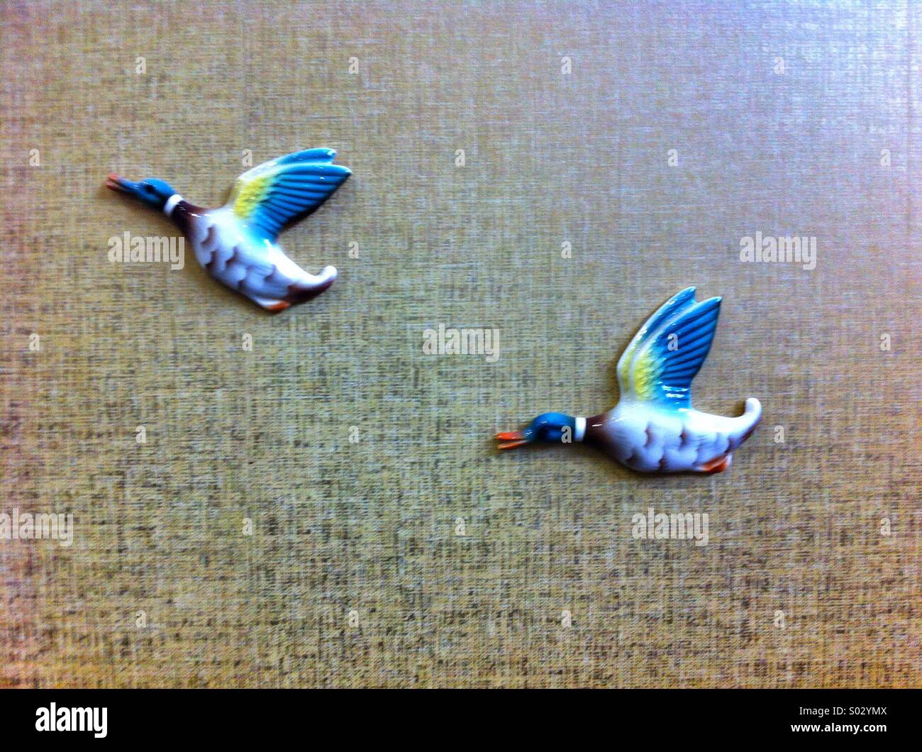 Wall mounted flying ceramic ducks Stock Photo