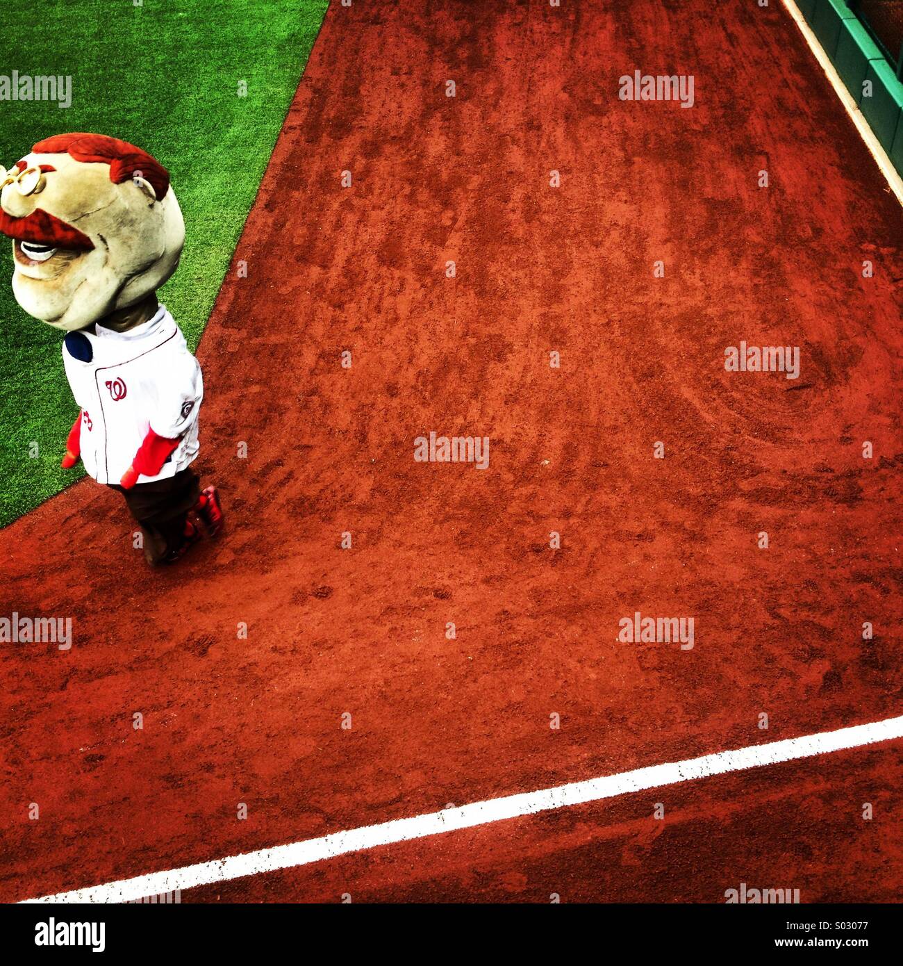 The Teddy Roosevelt mascot at a Washington Nationals baseball game Stock  Photo - Alamy