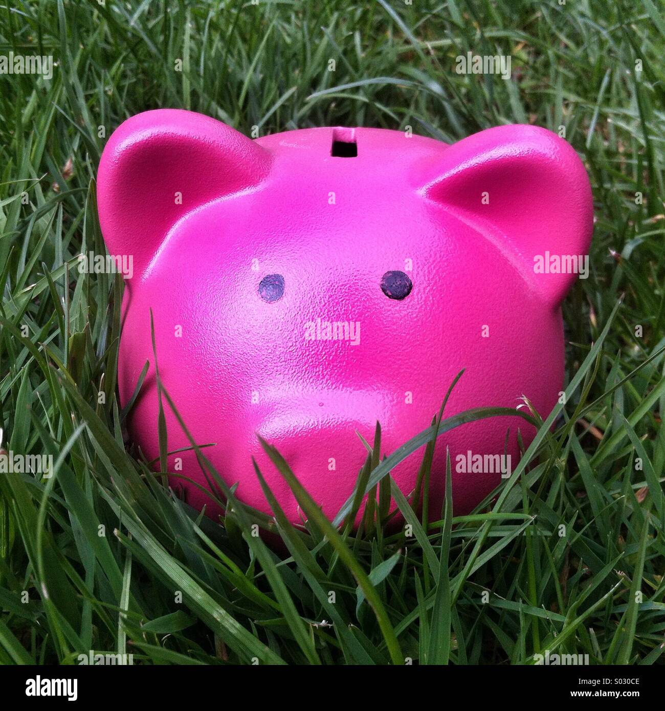 Pink piggy bank style money box in long grass - Smartphone Captured Stock Image