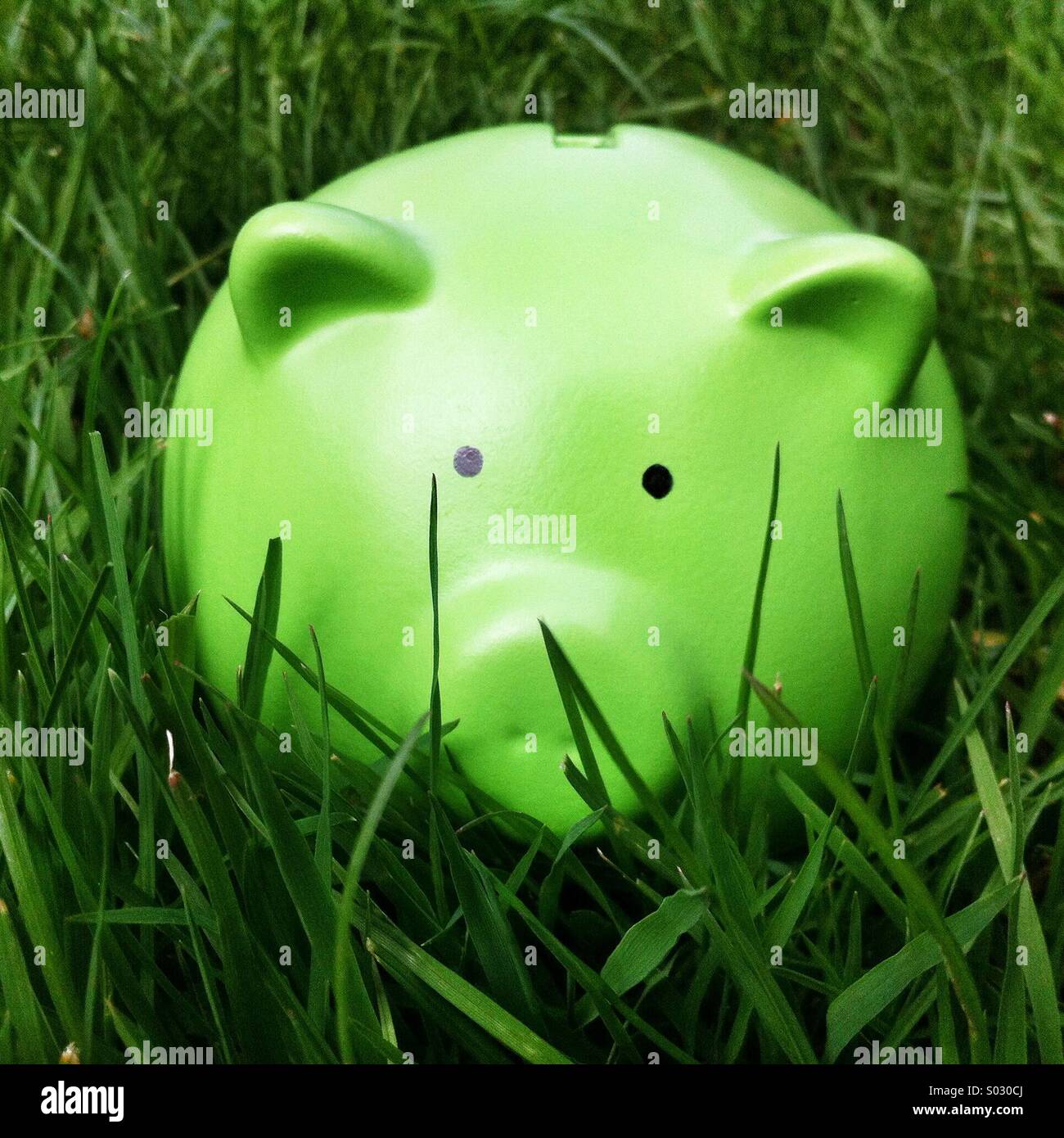 Green piggy bank money box in long green grass - Smartphone Captured Stock Image