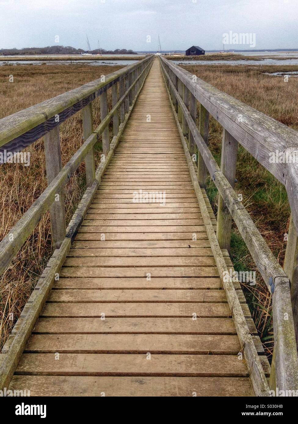 Wooden Walkway across reed beds in a nature reserve on the Isle of Wight, UK Stock Photo