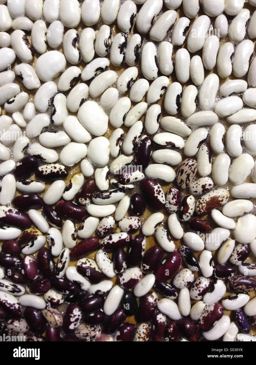 Beans picture hi-res stock photography and images - Alamy