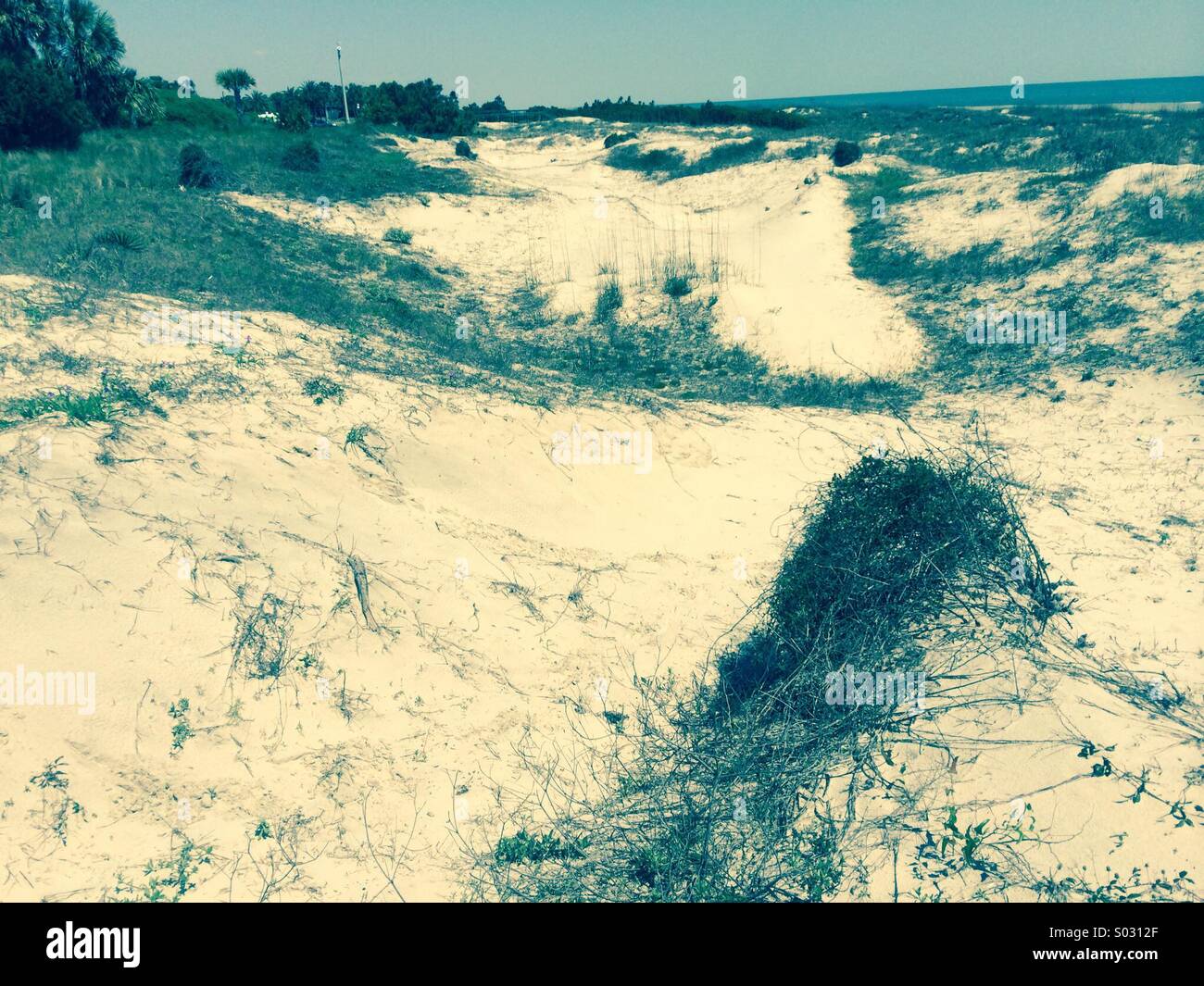 Sand dunes at Jekyll Island, Georgia. Stock Photo