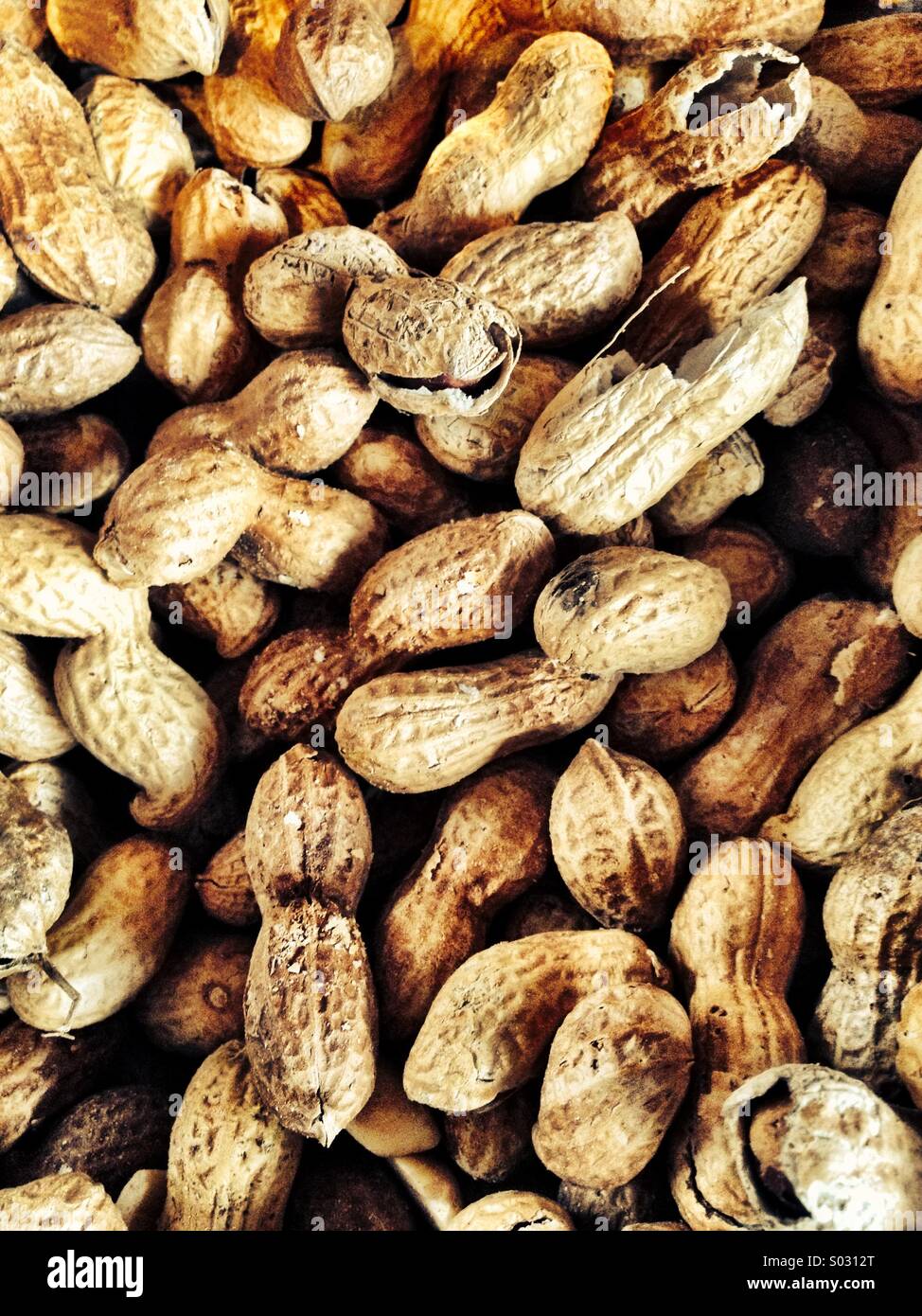 Monkey Nuts Peanuts