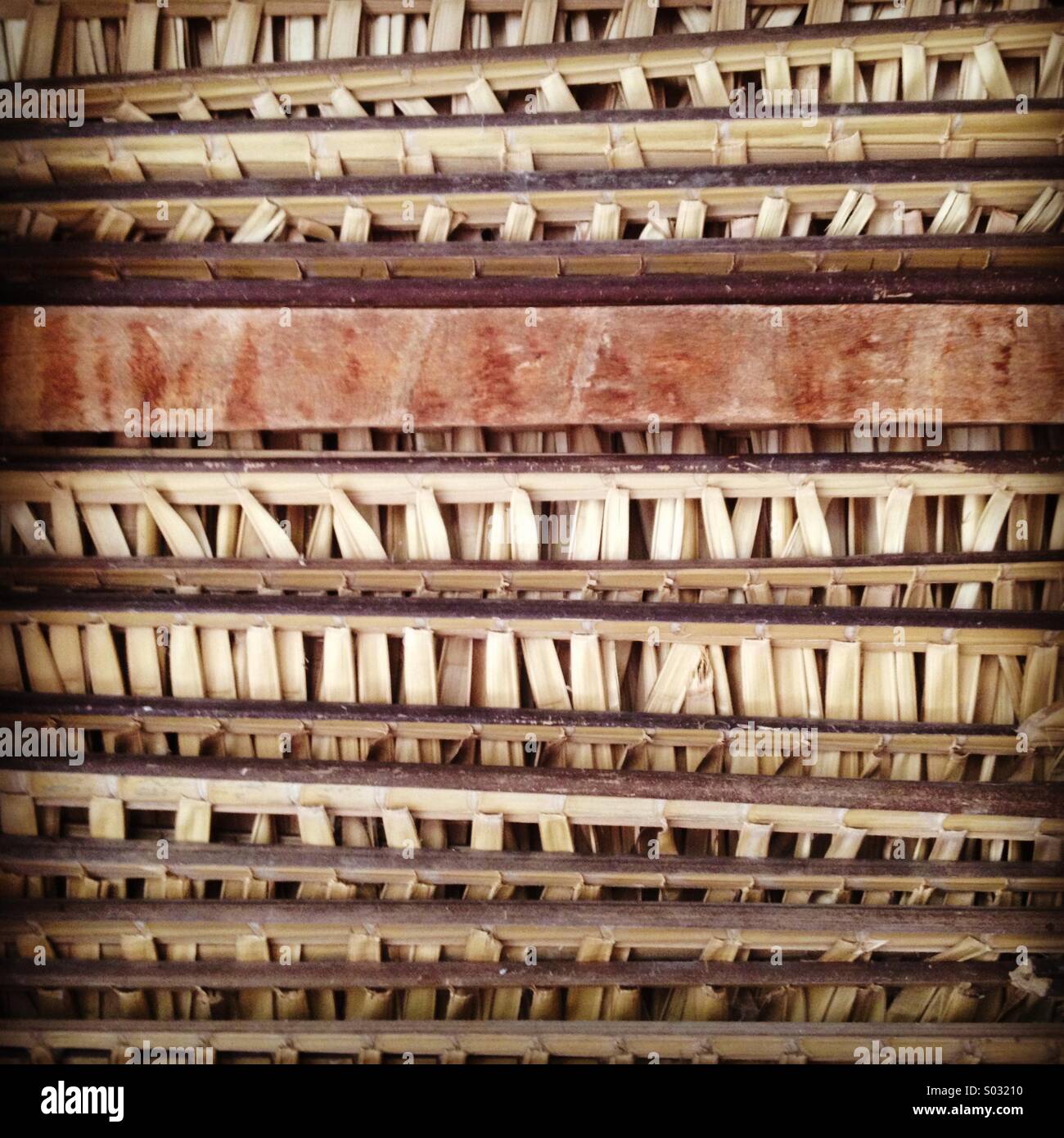 Inside of thatched roof, Karanambu Ranch, Rupununi River, Guyana, South ...