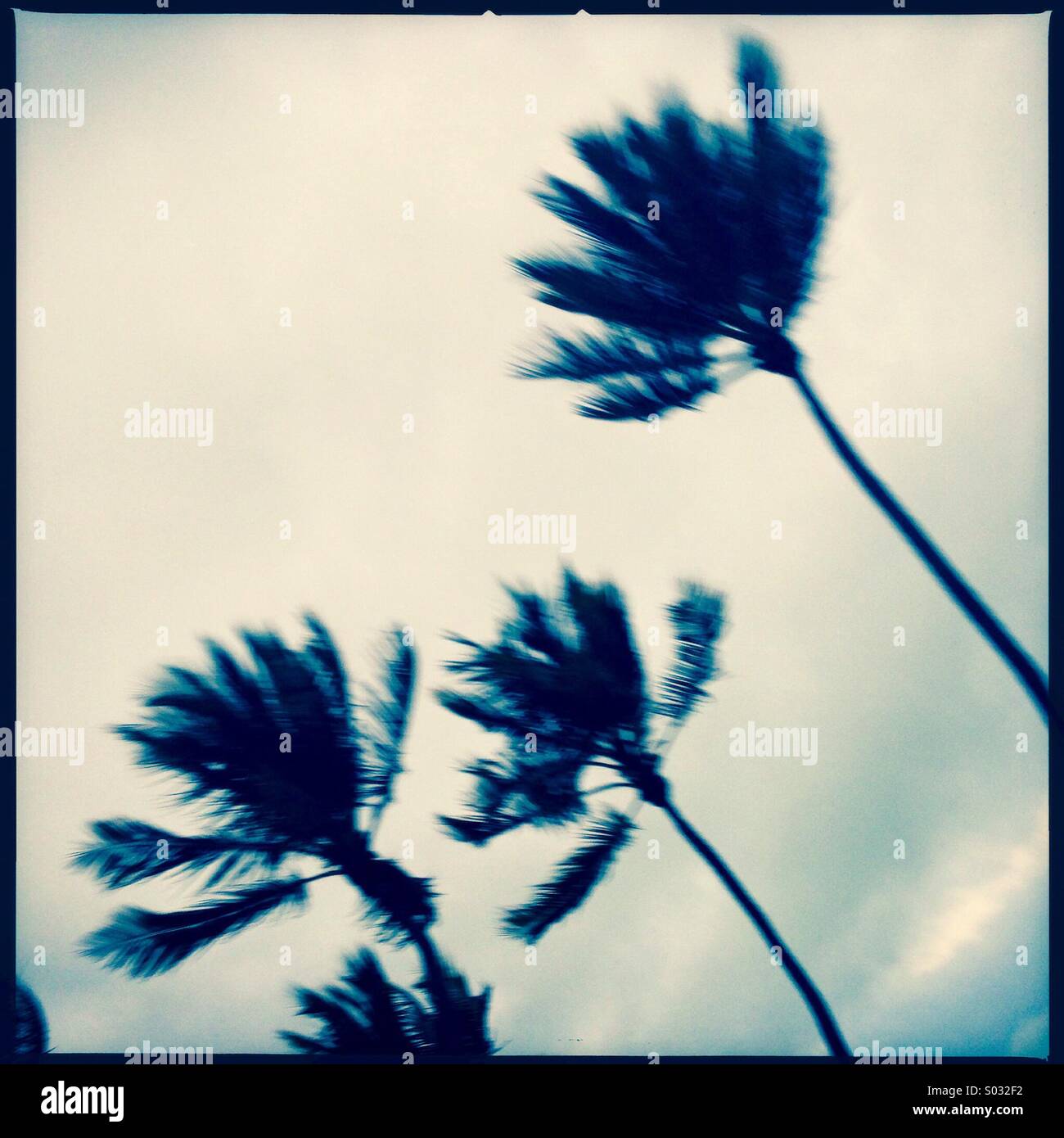 My Image 24