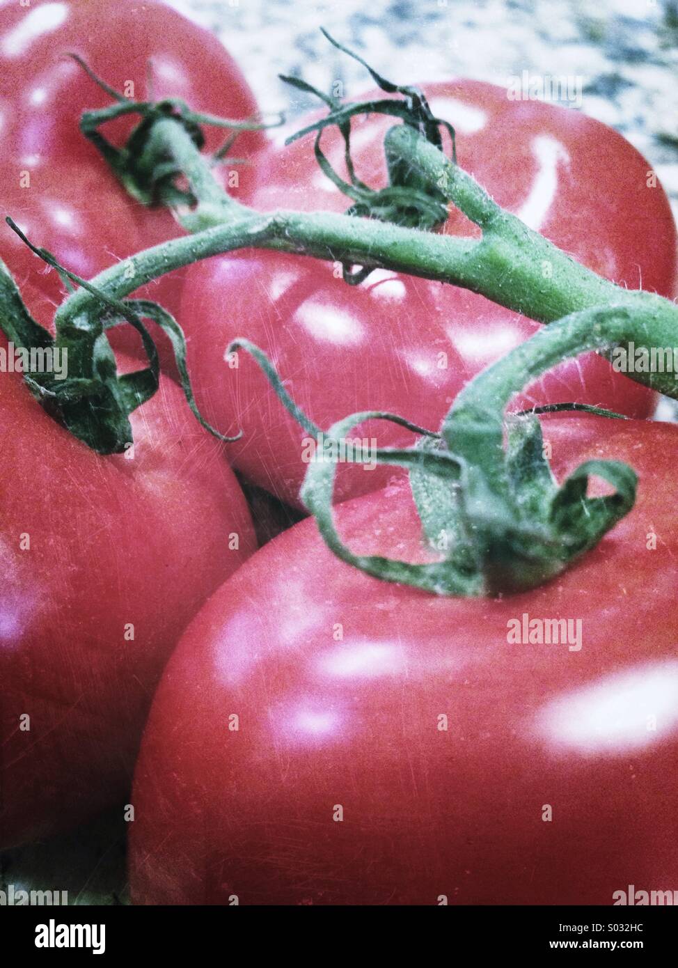 Tomatoes - Smartphone Captured Stock Image