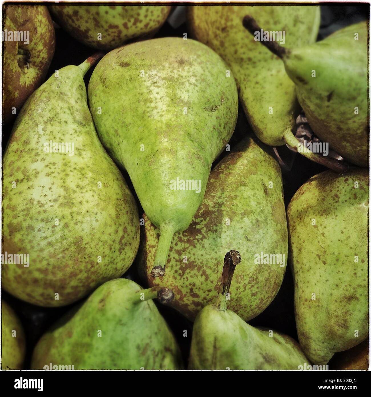 Conference pears for sale in Barcelona market - Smartphone Captured Stock Image